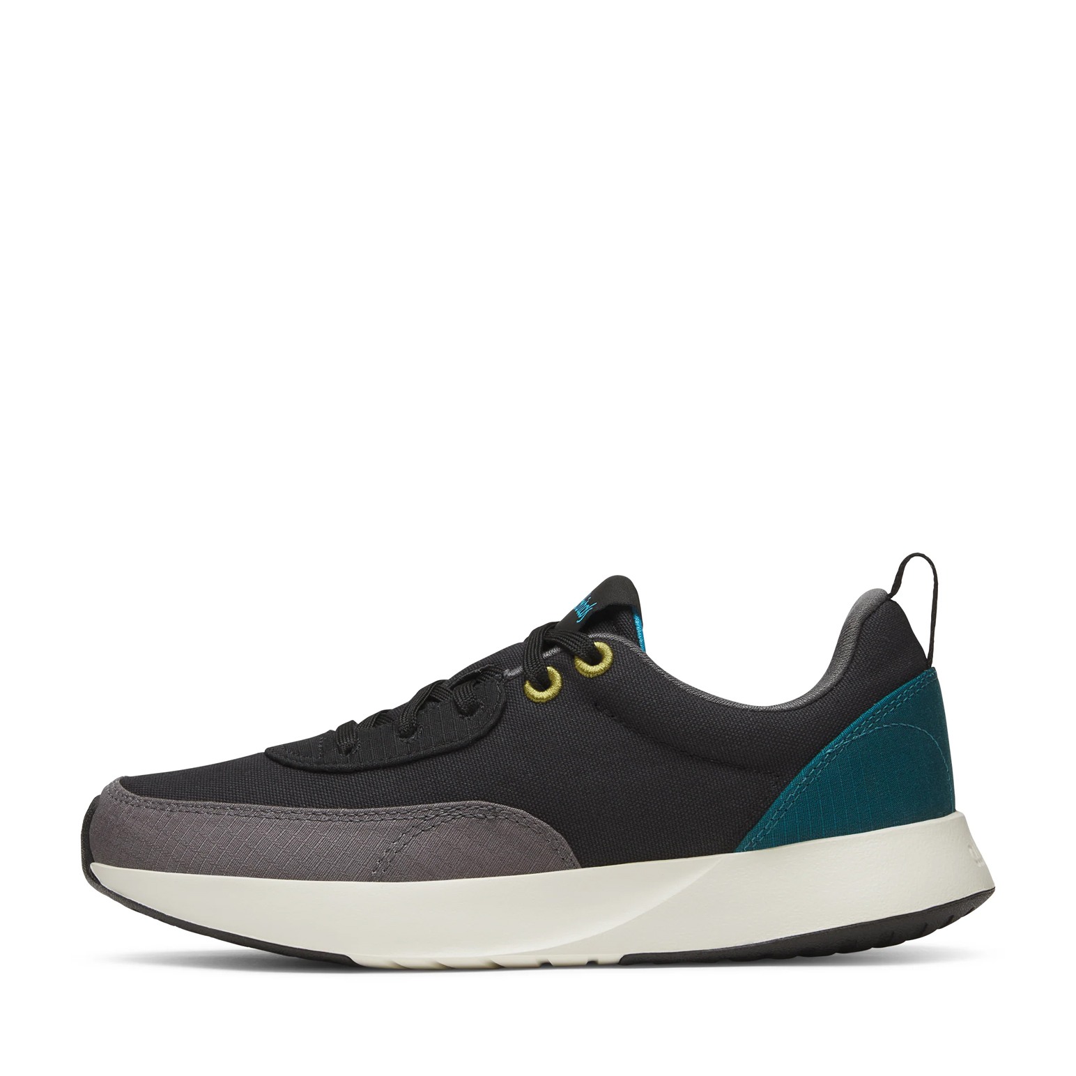 Allbirds Courier